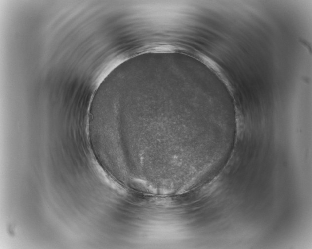 X0000102301194200808152010