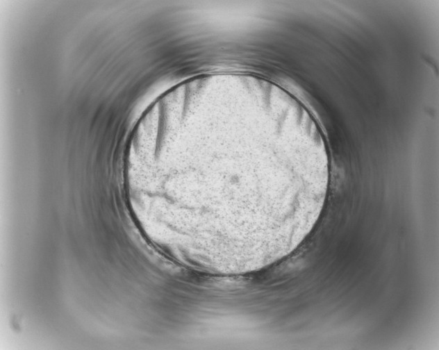 X0000102301195200808152010