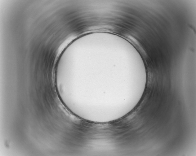 X0000102301196200808152010