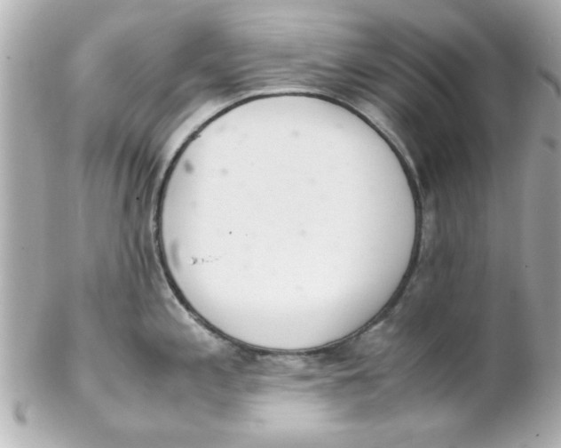 X0000102301197200808152010
