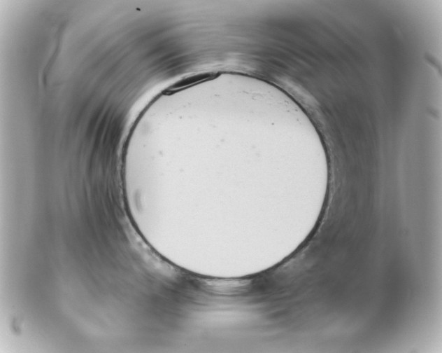 X0000102301200200808152010