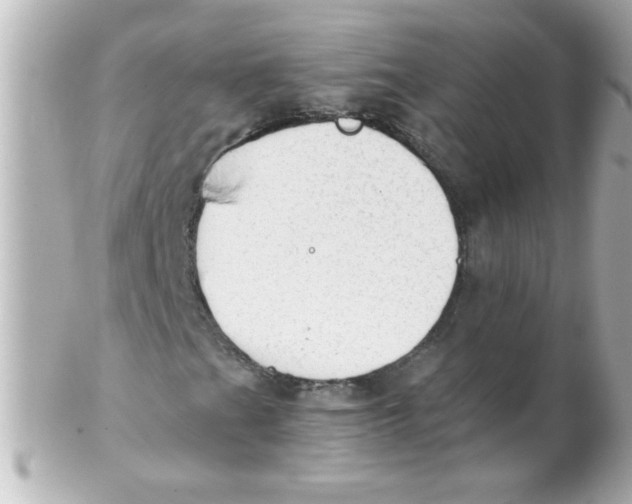 X0000102301201200808152009