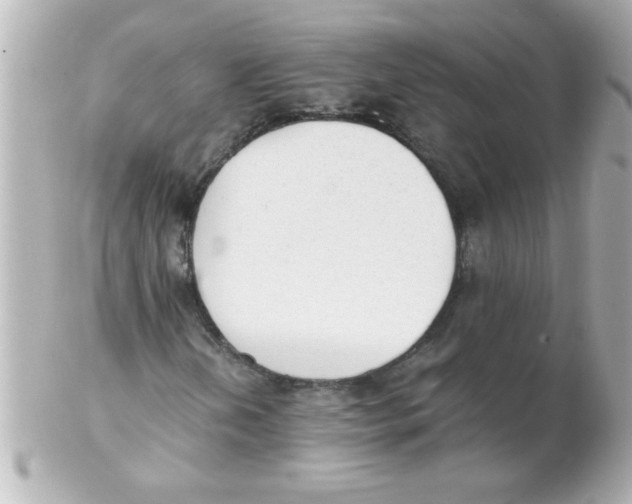 X0000102301202200808152009