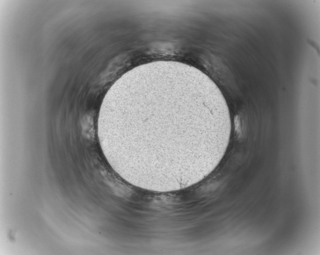 X0000102301203200808152009