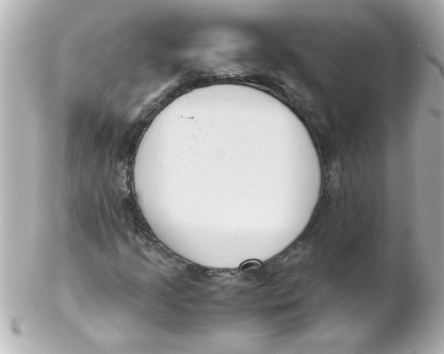 X0000102301205200808152009