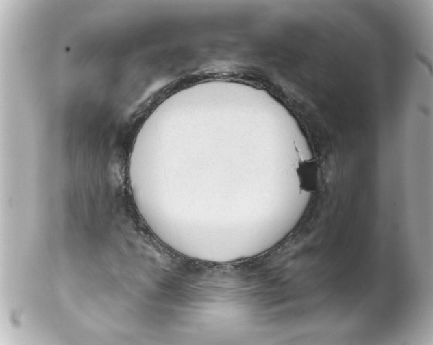 X0000102301206200808152009