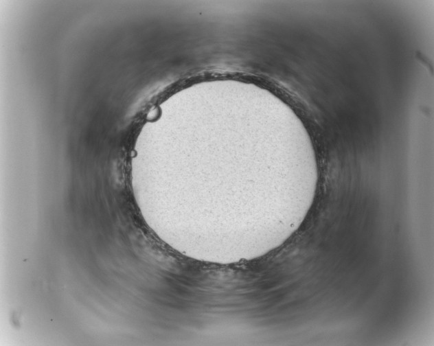 X0000102301207200808152009