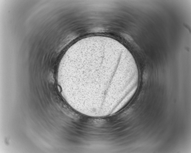 X0000102301209200808152009