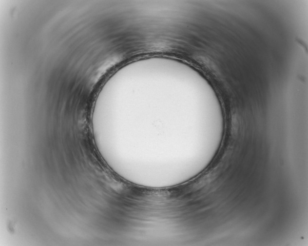 X0000102301210200808152009