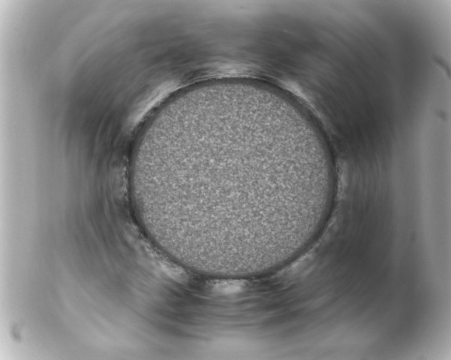X0000102301211200808152009