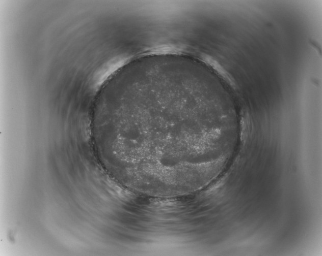 X0000102301213200808152009