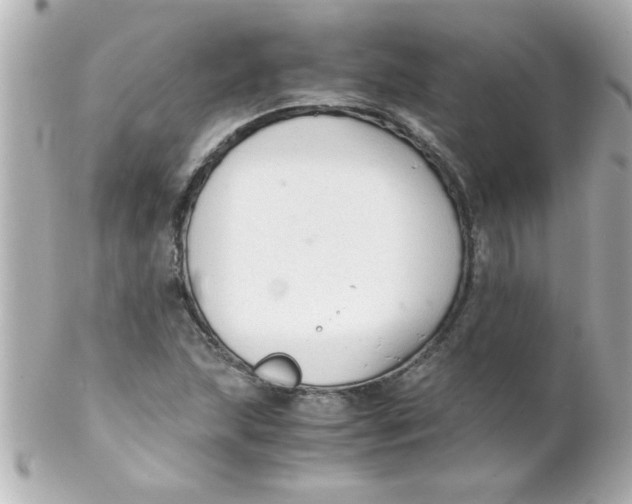 X0000102301215200808152009