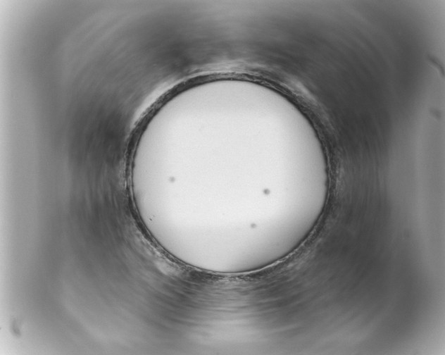 X0000102301216200808152009