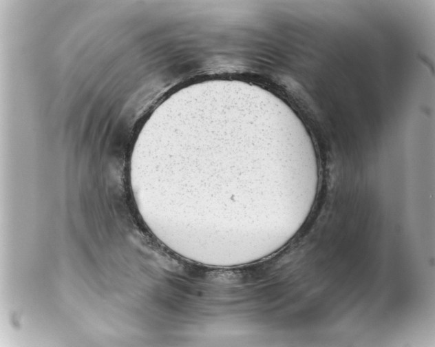 X0000102301217200808152009