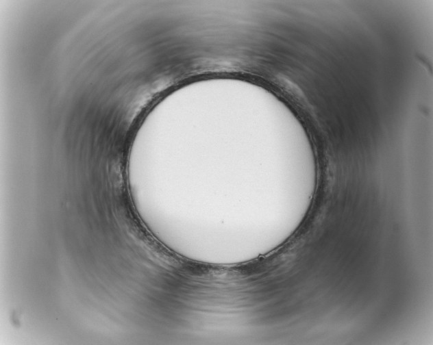 X0000102301218200808152010