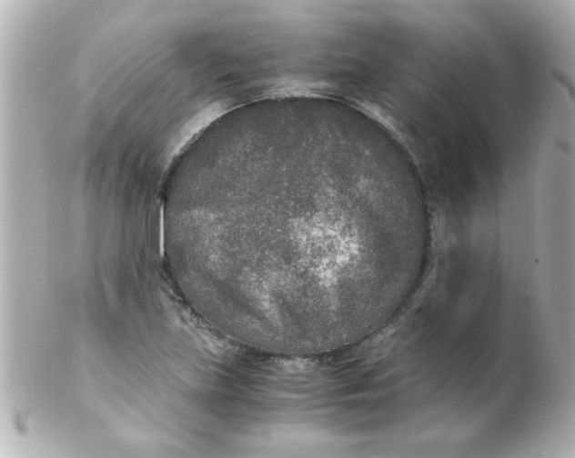 X0000102301219200808152010