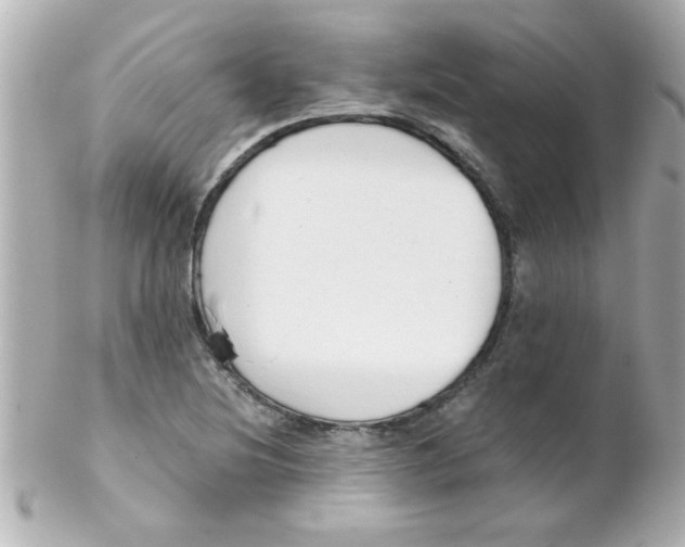 X0000102301220200808152010