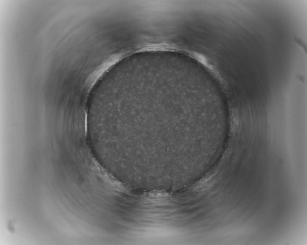 X0000102301221200808152010