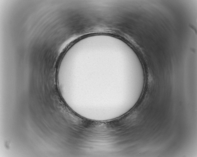 X0000102301222200808152010