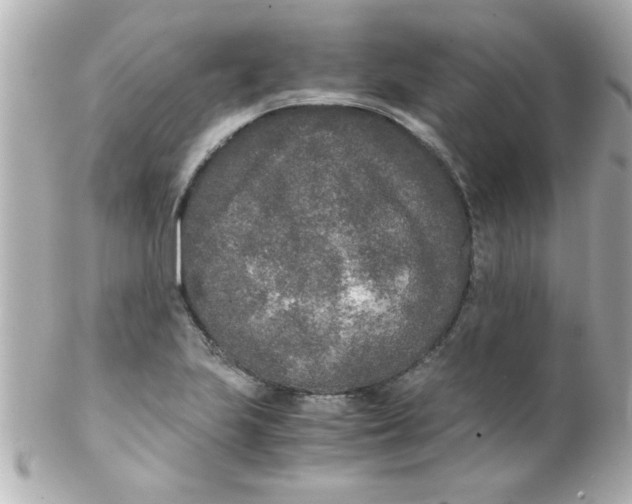X0000102301223200808152010
