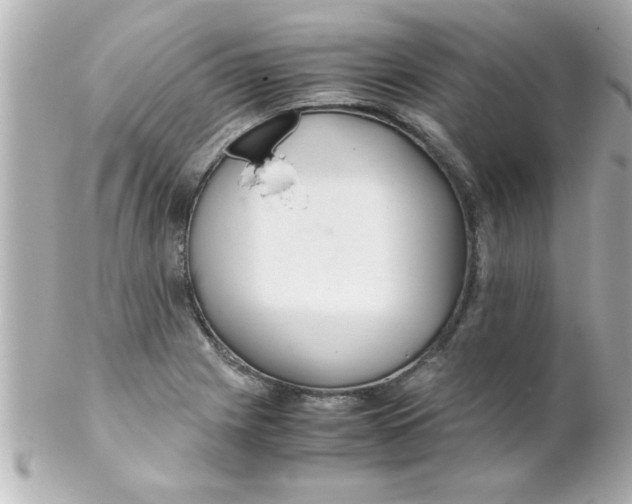 X0000102301225200808152010
