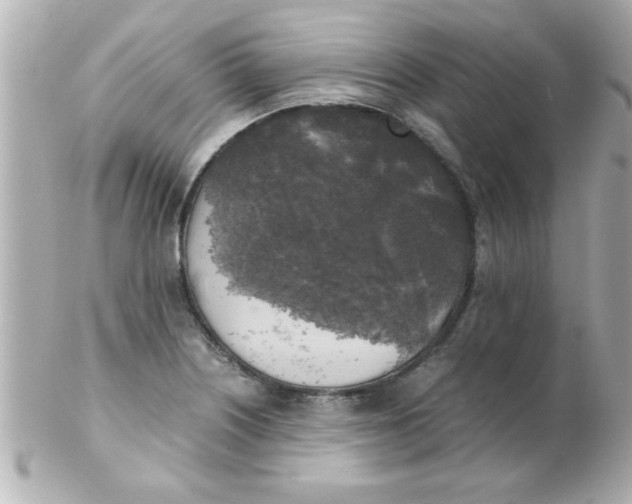 X0000102301226200808152010