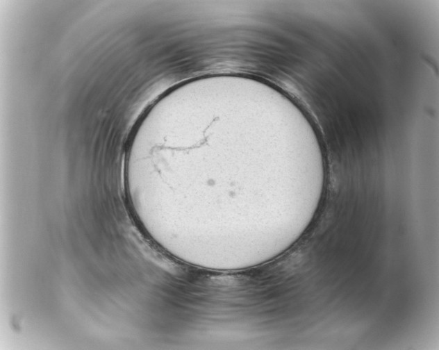 X0000102301227200808152010
