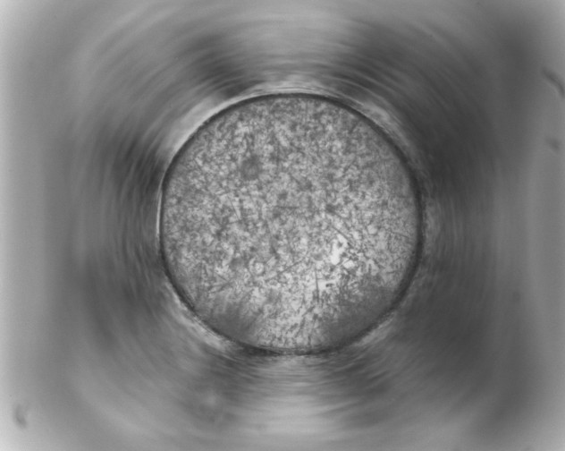 X0000102301228200808152010