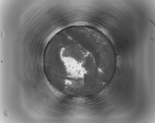 X0000102301229200808152010