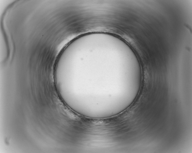 X0000102301230200808152010