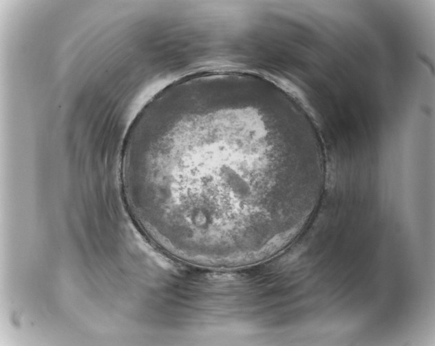 X0000102301231200808152010