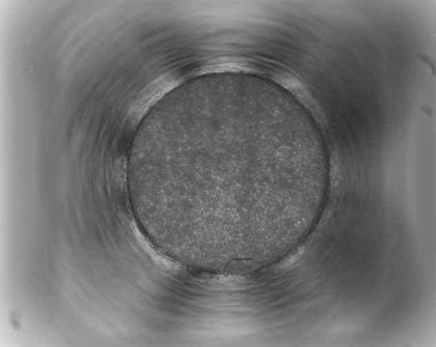 X0000102301233200808152010