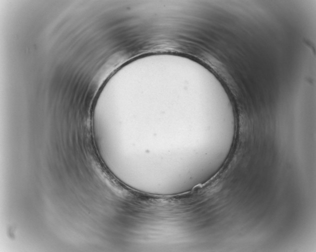 X0000102301234200808152010