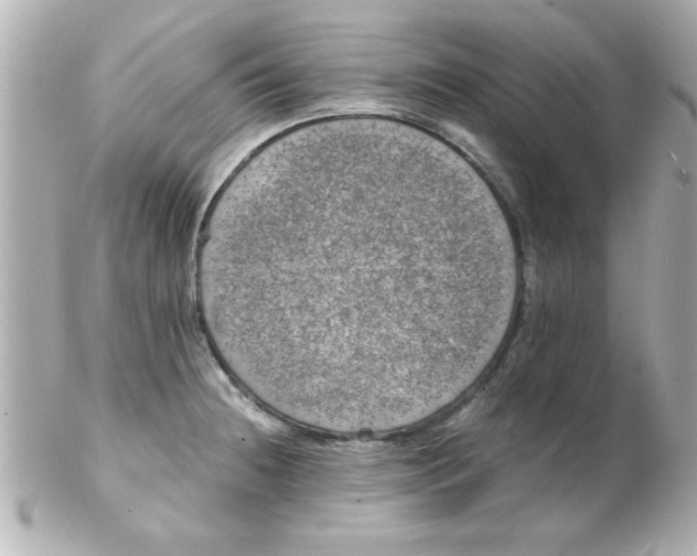 X0000102301236200808152010