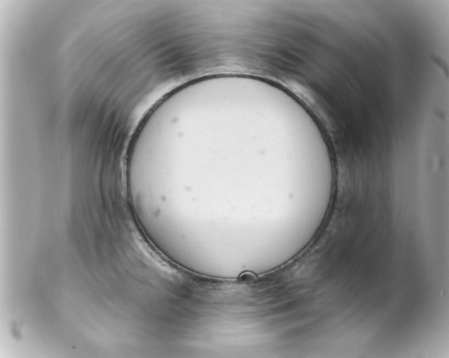 X0000102301238200808152010