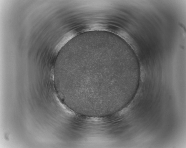 X0000102301241200808152010