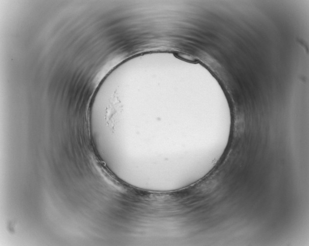 X0000102301242200808152010