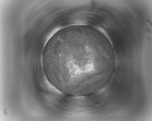 X0000102301243200808152010