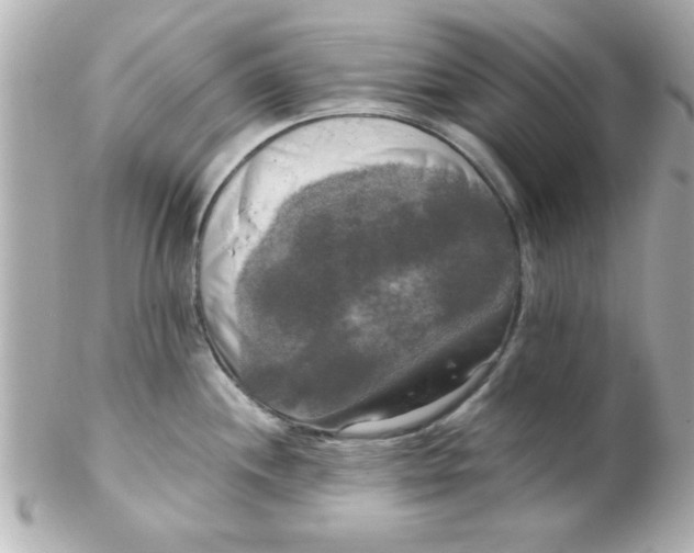 X0000102301244200808152010