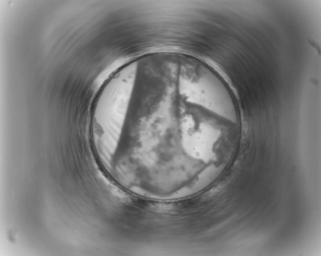 X0000102301245200808152010