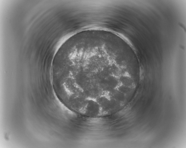 X0000102301247200808152010