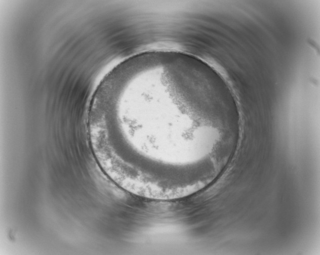 X0000102301248200808152010