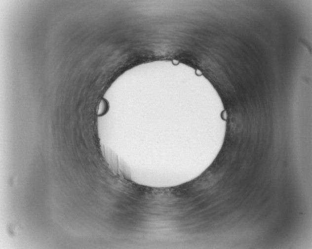 X0000102301249200808152009
