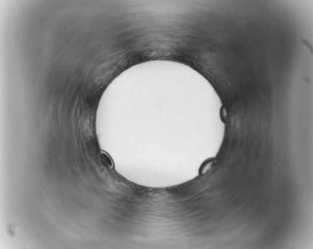 X0000102301250200808152009