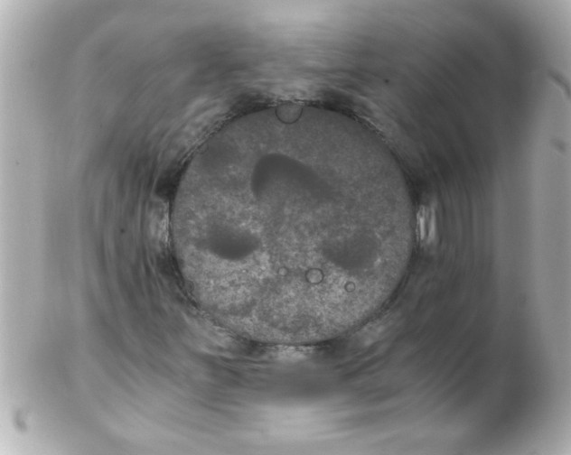 X0000102301251200808152009