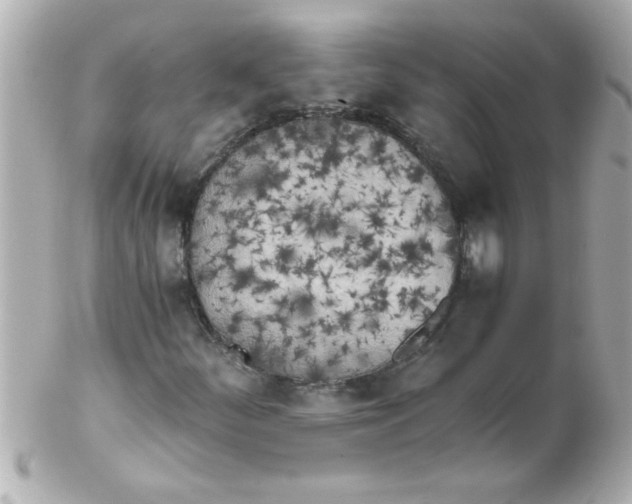 X0000102301252200808152009