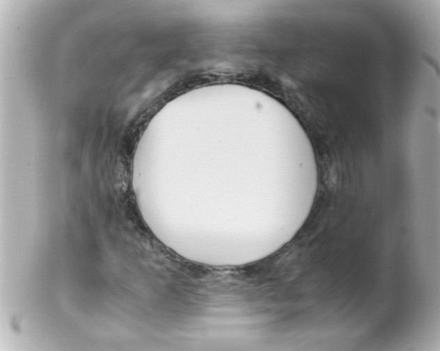 X0000102301253200808152009