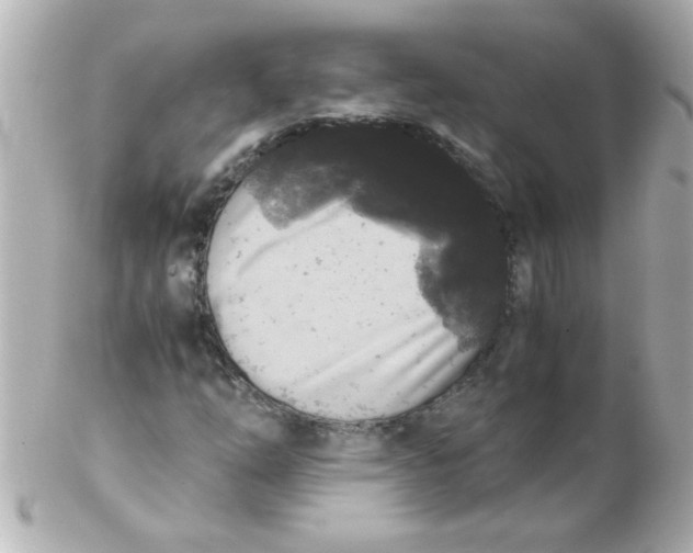 X0000102301254200808152009