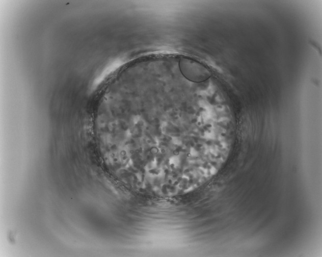 X0000102301255200808152009