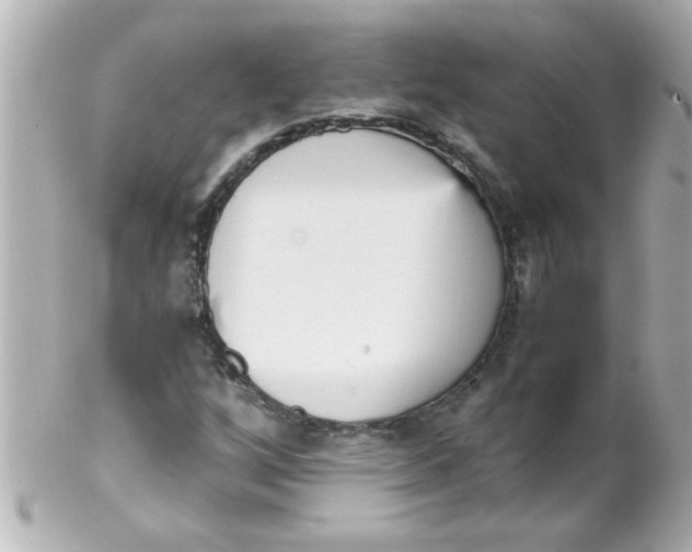 X0000102301256200808152009